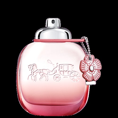 Perfume Coach Floral Blush Eau De Parfum - Perfume Feminino