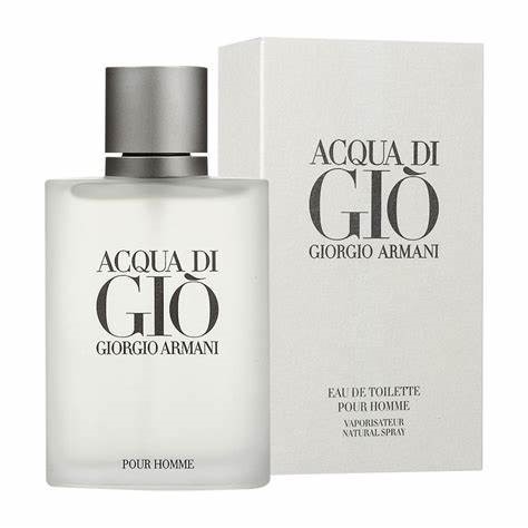Perfume Acqua Di Gio De Giorgio Armani Eau De Toilette Masculino 100 Ml